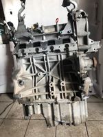 Volkswagen Golf V Engine BLF