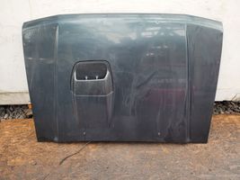 Mitsubishi Pajero Engine bonnet/hood 