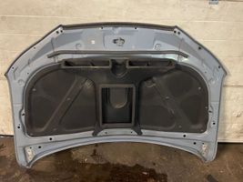 Hyundai Santa Fe Engine bonnet/hood 