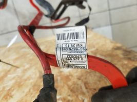 BMW 1 F20 F21 Cavo positivo (batteria) 15974510