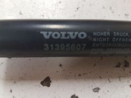 Volvo V40 Vérin de capot arrière 31395607