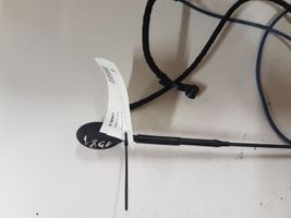 Ford Focus Antena radiowa 98AP18812AF