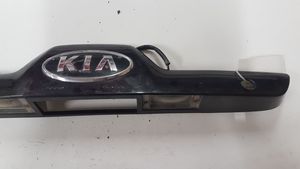 KIA Sportage Barra de luz de la matrícula/placa de la puerta del maletero 925011F0