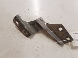 Renault Megane II Engine bonnet/hood hinges 468183