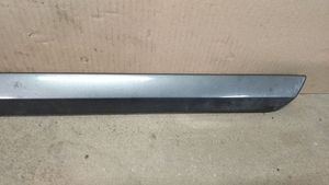 Volvo S40 Rear door trim (molding) 08694732