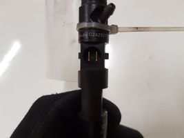 Renault Megane III Injecteur de carburant EJBR05101D