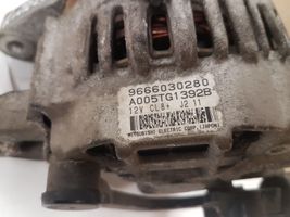 Citroen C3 Alternator 9666030280