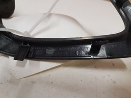 Citroen C4 II Copertura per maniglia portiera anteriore 9671797677