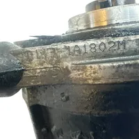 Citroen C5 Pompe à vide D1431A1802M
