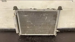 Renault Clio III Kit Radiateur 8200748439