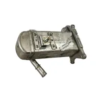 Citroen C5 EGR-venttiili/lauhdutin V29004027