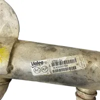 Citroen C5 EGR-venttiili/lauhdutin 9645689780