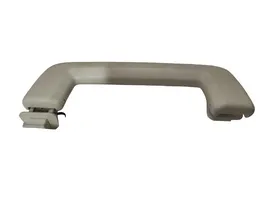 Ford Focus Front interior roof grab handle 