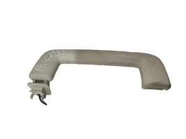 Ford Focus Front interior roof grab handle 