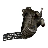 Audi A6 S6 C6 4F EGR-venttiili/lauhdutin 059131512H