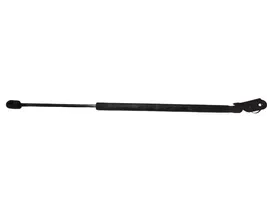 Toyota Corolla Verso E121 Tailgate/trunk strut/damper 