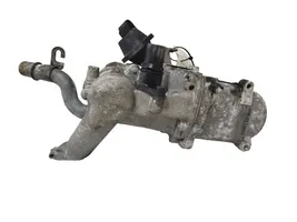 Citroen C4 II Zawór EGR 5056390200