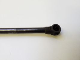 Renault Scenic III -  Grand scenic III Tailgate/trunk strut/damper 904517337R