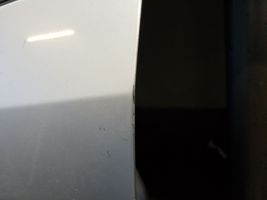 Nissan Almera Tino Portiera anteriore OEM