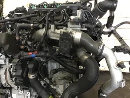 KIA Sportage Motor D4FE