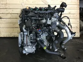 KIA Sportage Motor D4FE