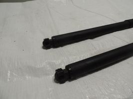 Opel Insignia A Tailgate strut 