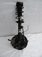 Ford Ecosport Front shock absorber/damper 