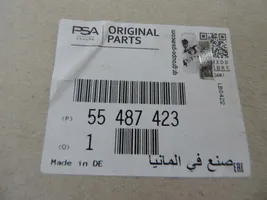 Opel Insignia B Puleggia dell’albero a camme/VANOS 55487423