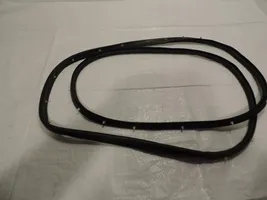 Opel Insignia A Front door rubber seal 13454650