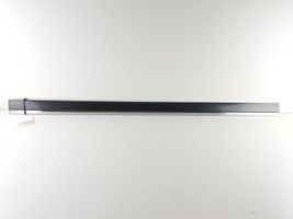 Audi A8 S8 D3 4E Rivestimento della portiera anteriore (modanatura) 4E0853954D