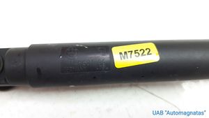 BMW X5 E70 Smorzatore/ammortizzatore d’urto per paraurti posteriore 7149631