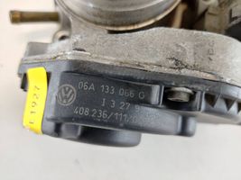 Volkswagen Golf IV Throttle valve 06A133066G