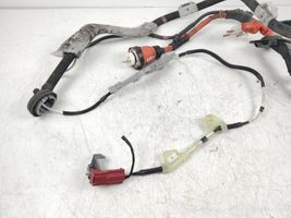 Toyota Prius+ (ZVW40) Kabel wysokiego napięcia 8216447161D