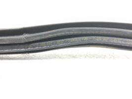 BMW M3 F80 Gummidichtung Tür vorne 7258312