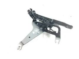 BMW X5 F15 Cerniere del vano motore/cofano 7294530