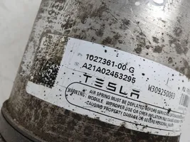 Tesla Model X Amortiguador/suspensión neumática delantera 102736100G