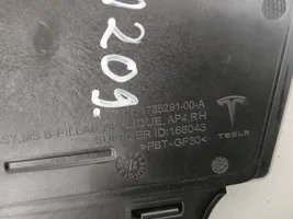 Tesla Model S (B) Poszycie słupka (zewnętrzne) 173529100A