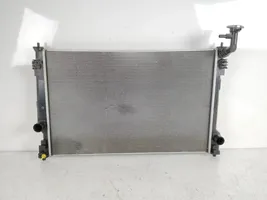 Toyota RAV 4 (XA50) Dzesēšanas šķidruma radiators 1220500050