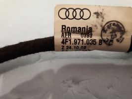 Audi A6 Allroad C6 Faisceau de câblage de porte avant 4F1971035B