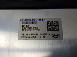 Hyundai Tucson IV NX4 Sterownik / Moduł ECU 391992M041