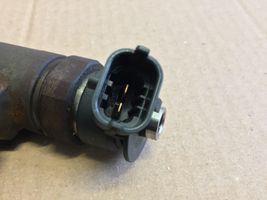 Citroen C4 II Injecteur de carburant 0445110340