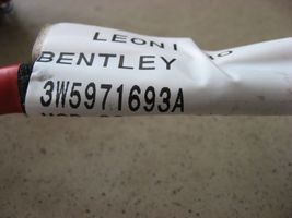Bentley Flying Spur Inna wiązka przewodów / kabli 3W5971693A