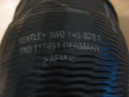 Bentley Flying Spur Tuyau de liquide de refroidissement moteur 3W0145828F