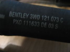 Bentley Flying Spur Pečiuko radiatorius vamzdelis (-ai)/ žarna (-os) 3W0121073C
