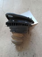 Ford Focus Coil spring mount 