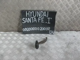 Hyundai Santa Fe Stiklo kėbule (fortkės) jungtukas 