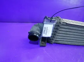 Ford C-MAX I Chłodnica powietrza doładowującego / Intercooler 3M5H9L440AE