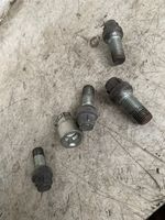 Volkswagen Beetle A5 Anti-theft wheel nuts and lock 