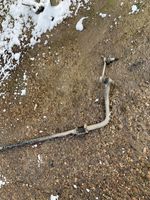 Ford Mondeo MK V Rear anti-roll bar/sway bar 