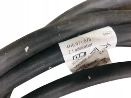 Audi A8 S8 D5 Kabel do ładowania samochodu elektrycznego 4N0971675